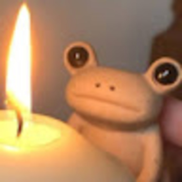 Meet your Posher, Albert - Picture 1 of 1